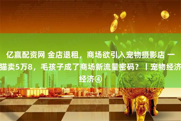 亿赢配资网 金店退租，商场欲引入宠物摄影店 一只猫卖5万8，毛孩子成了商场新流量密码？丨宠物经济④