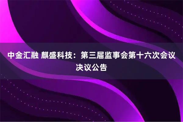 中金汇融 麒盛科技：第三届监事会第十六次会议决议公告